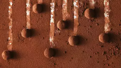 Fresh chocolate truffles