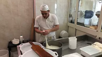 Masseria Lamapecora