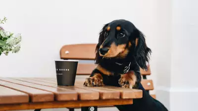 Watchhouse Coffee