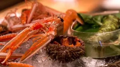 London's best Japanese restaurants &ndash; Tokimeite