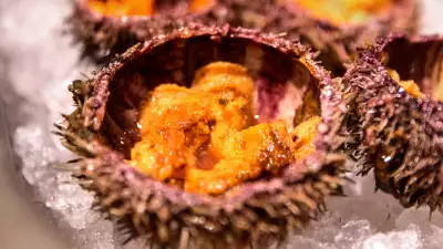 London's best Japanese restaurants &ndash; Tokimeite