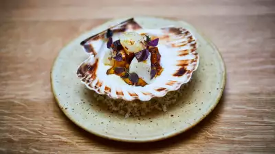 Isle of Mull diver scallop