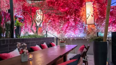 Hanami at Nobu
