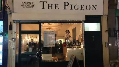 The Pigeon