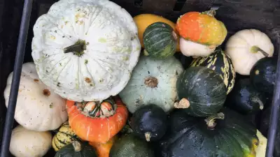 Lloyd Park Market