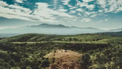 The Domaine de Querubi estate in France