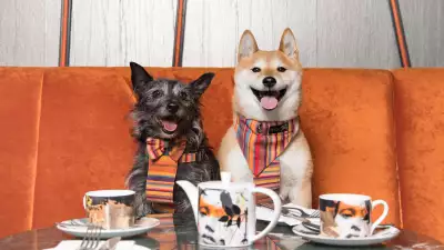 Savage Garden dog brunch