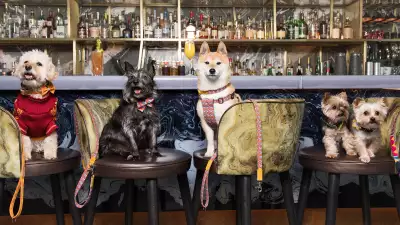 Savage Garden dog brunch