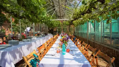 Novikov summer masterclass