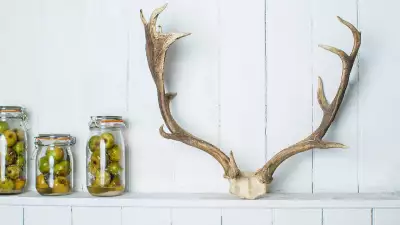 Sustainable restaurants London: Native