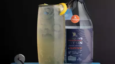 Make Ed Hughes’ The Hopster Collins