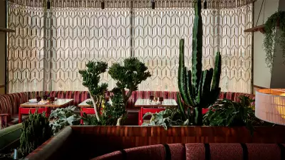 Best places to eat and drink in King's Cross: Decimo