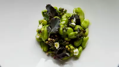 Beans at Silo