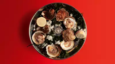 Native Oysters