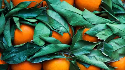 Don't succumb to Christmas food waste: Here's why leftovers should be the main attraction