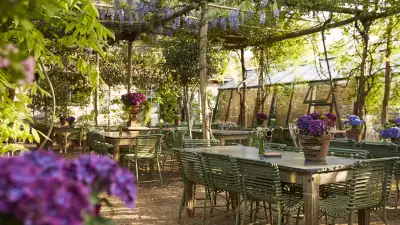London's best outdoor restaurants | Petersham Nurseries in Richmond