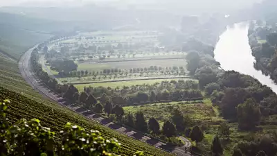 German wines and wine regions | Franken