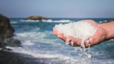 Cornish Sea Salt: grains that were hand-harvested in Cornwall