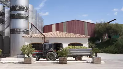 El Bandarra's winery in Pened&egrave;s