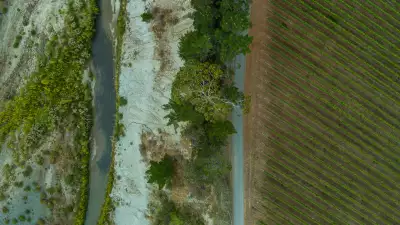 Villa Maria's vineyards in Marlborough, New Zealand