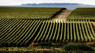 Vineyards owned by Maison Ruinart