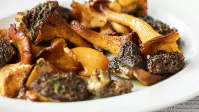 Mushrooms with Cured Yolk