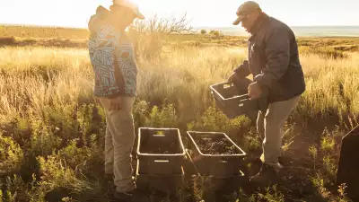 The high-altitude vineyards of Mendoza