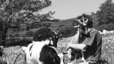 Roberts and his goats