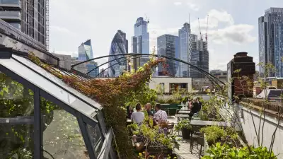 The rooftop garden and terrace at The Culpeper