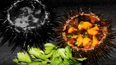 Local sea urchins from the Asturias coastline