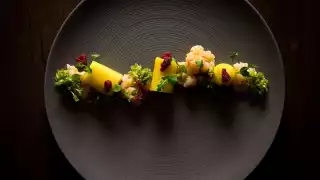 Sea bream causa