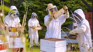 Hive Honey Shop