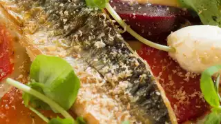 Seared mackerel starter