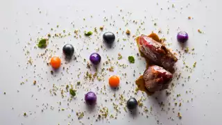 Ametsa's pigeon with shot