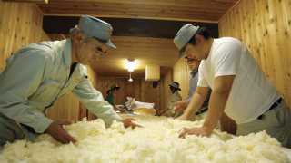 The koji-making process in a special room call the 'Koji Muro'