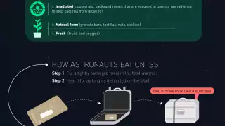 Labeley's space food infographic