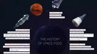 Labeley's space food infographic