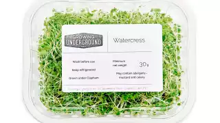 Growing Underground's products