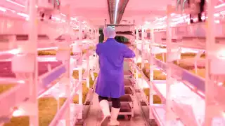 Growing Underground's 'food mine'