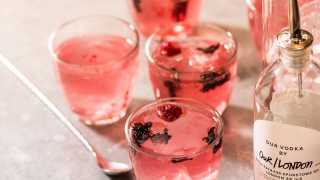 Our/London vodka's recipe for hibiscus collins