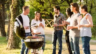 Napoleon Grills comp