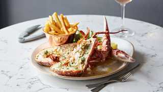 Lobster at Galley