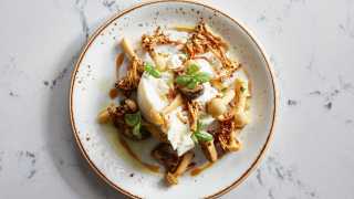 Pan-fried seabass with wild mushrooms from Galley