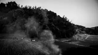 The process of brewing sake begins with brown rice, which is harvested in the autumn