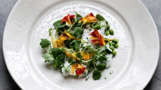 James Lowe's recipe for pea and Ticklemore salad at Harvey Nichols