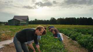 Dan Barber, chef-patron at farm-to-table restaurant Blue Hill at Stone Barns, working the farm