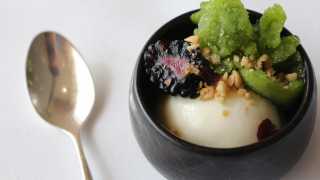 Yoghurt sorbet with pine nut and blackberry