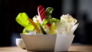 Fresh spring vegetables, tomato miso