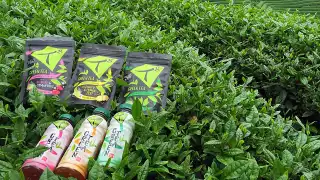 Tg's award-winning green tea