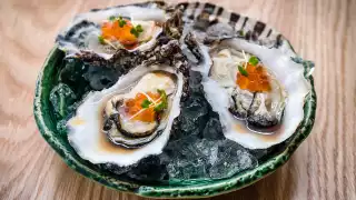 Oysters